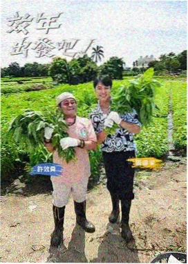 国语美食人文综艺厨房里的诗海报
