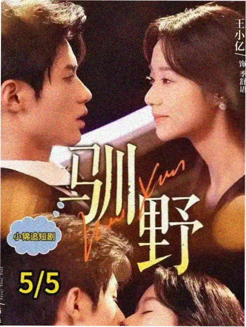 国语刑侦剧雾港追光海报